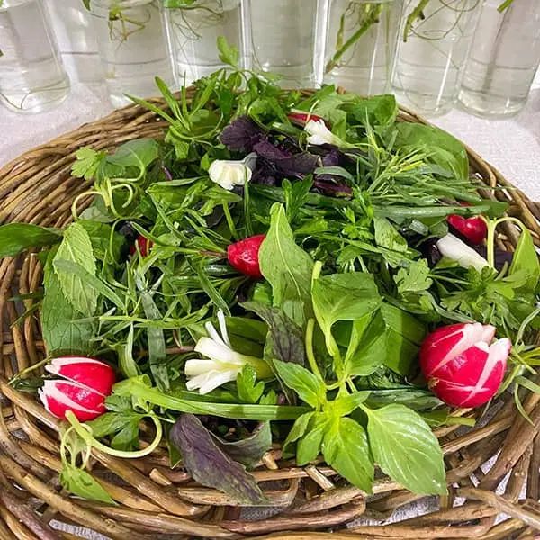 سبزی خوردن تازه وبسته بندی شده|خوردنی و آشامیدنی|کرج, دهقان ویلا|دیوار