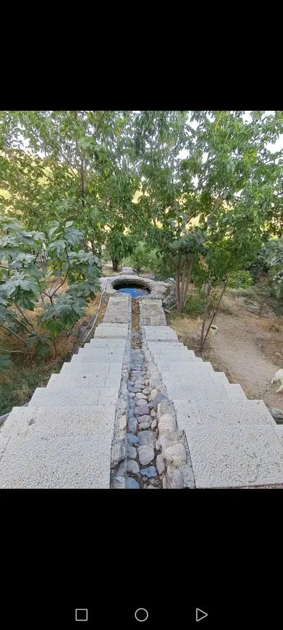 راهنمایی پزشکی|فعالیت داوطلبانه|تهران, امامت|دیوار
