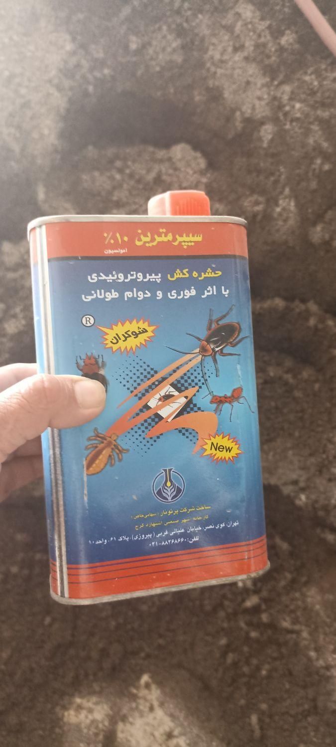 سمپاشی سوسک ساس سم پاشی کک وکنه  تضمینی صدرصدتضمین|خدمات نظافت|مشهد, خواجه ربیع|دیوار