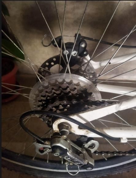 دوچرخه ۲۶ ماکسیما|دوچرخه، اسکیت، اسکوتر|صدرا-فارس, فاز ۱|دیوار