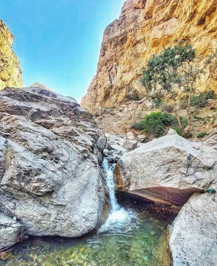 گروه طبیعت گردی|تور و چارتر|کرج, شاهین‌ویلا|دیوار