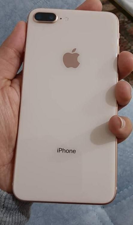 اپل iPhone 8 Plus با حافظهٔ ۲۵۶ گیگابایت|موبایل|شاهرود, |دیوار