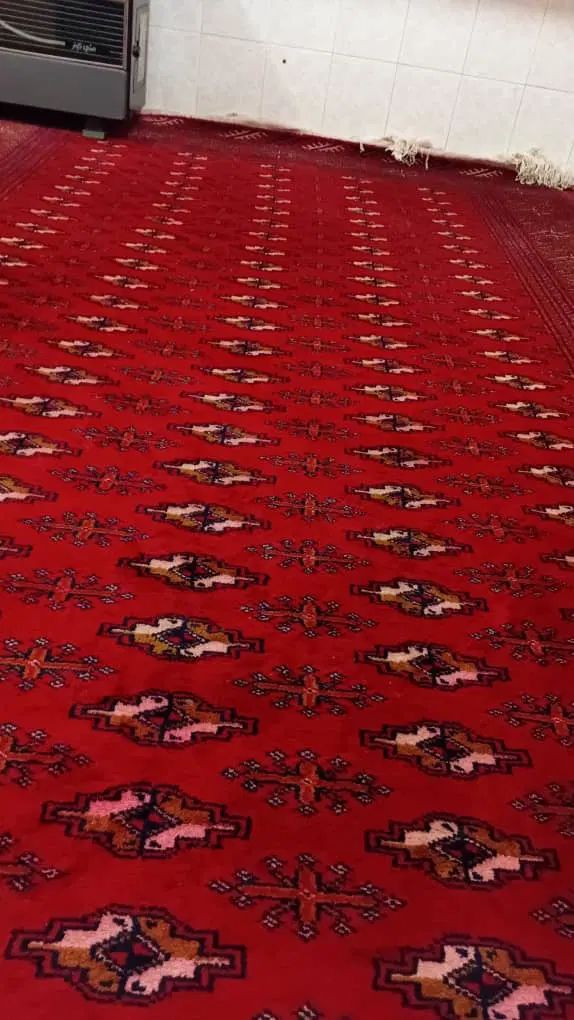 فرش ترکمن|فرش|مشهد, سرافرازان|دیوار