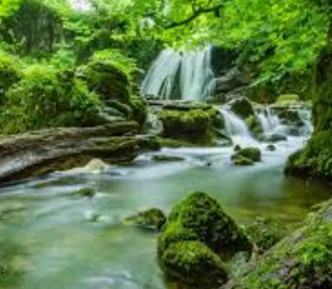راهنمایی میخوام|فعالیت داوطلبانه|تهران, تجریش|دیوار