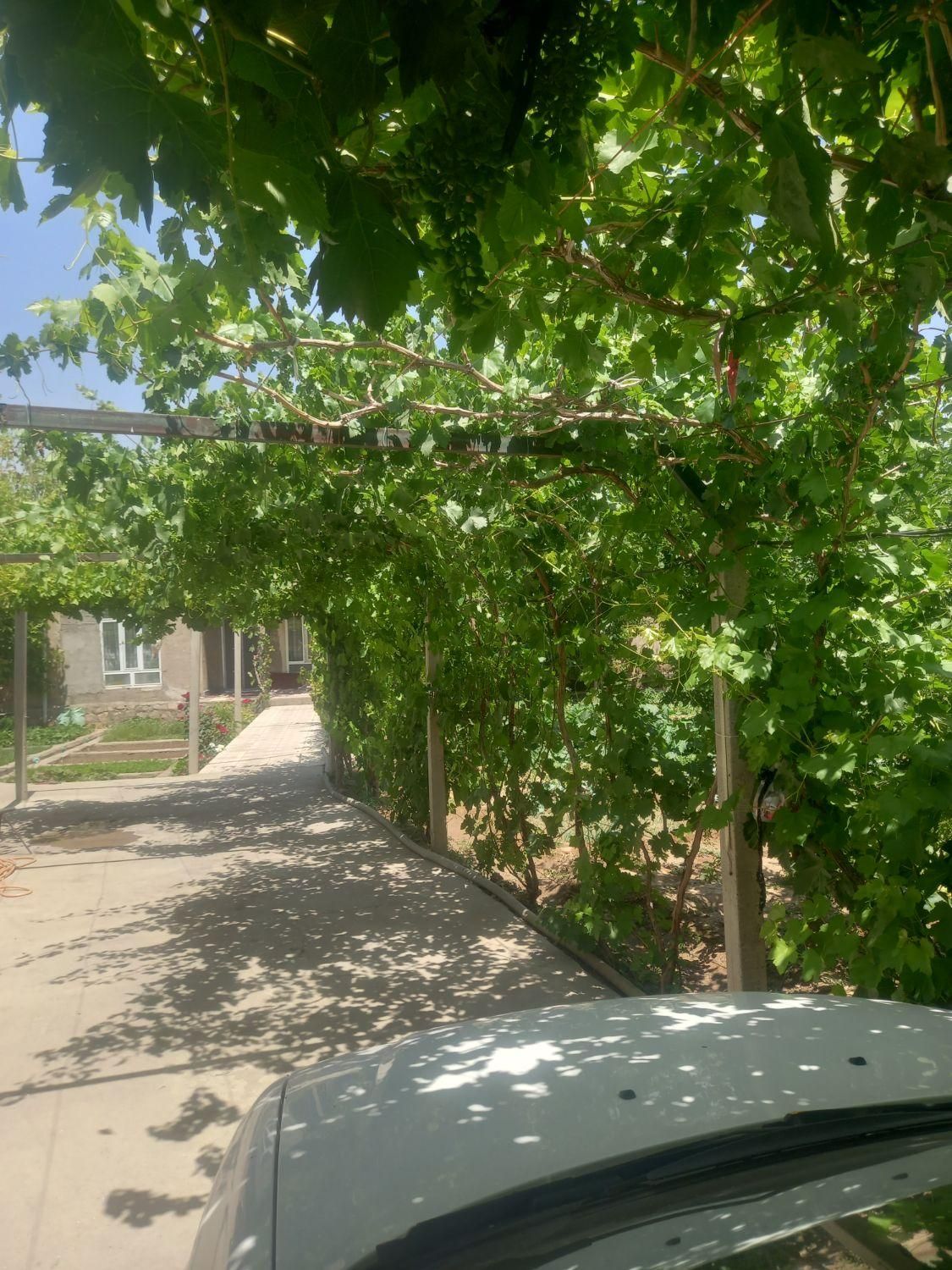 فروش زمین ۱۰۱۳ متری|فروش زمین و ملک کلنگی|باروق, |دیوار