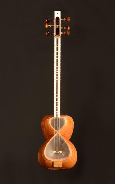 آموزش و تدریس تار برای کودکان و بانوان گرامی|خدمات آموزشی|تهران, ستارخان|دیوار