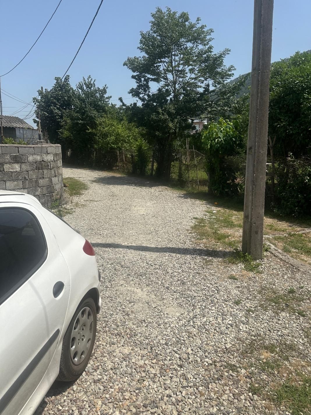 ویلا باغ ۸۰۰ متری نمک ابرود|فروش زمین و ملک کلنگی|هچیرود, |دیوار