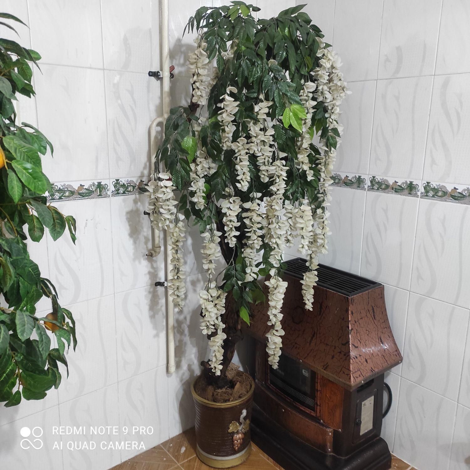 درختچه مصنوعی بزرگ وسالم|گل مصنوعی|دزفول, |دیوار