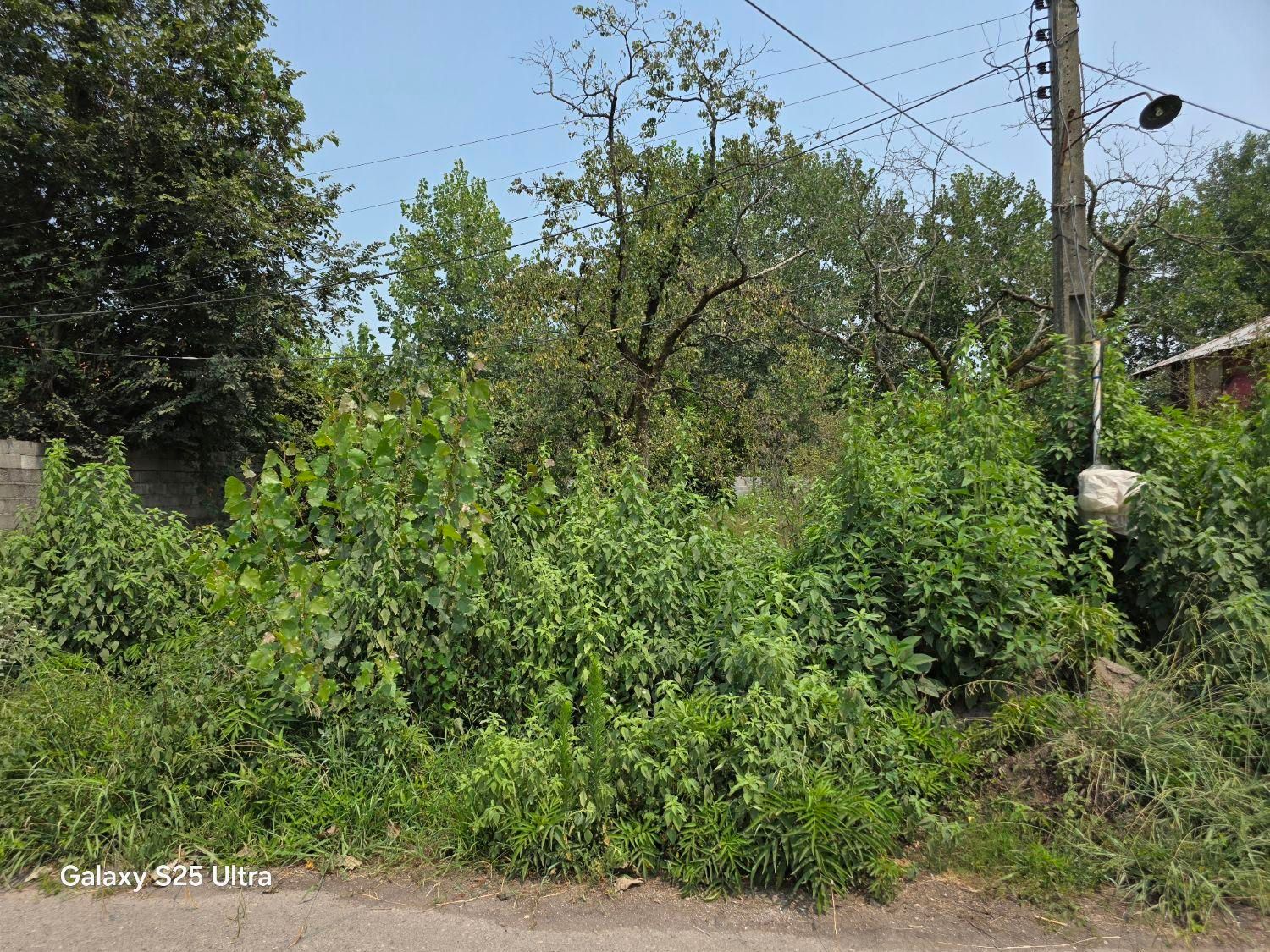 کدکریمی/۲پلاک زمین مسکونی بامجوز۵۰۰مترخمام خشکبیجا|فروش زمین و ملک کلنگی|خشکبیجار, |دیوار