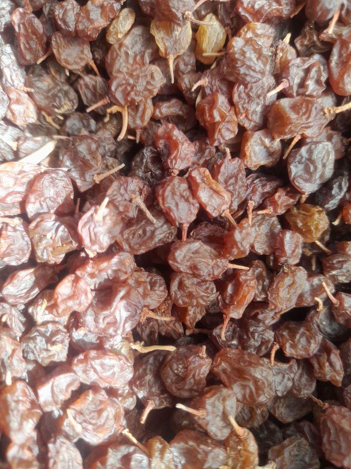 کشمش‌‌ عمده حمید|خوردنی و آشامیدنی|گلستان (تهران), |دیوار