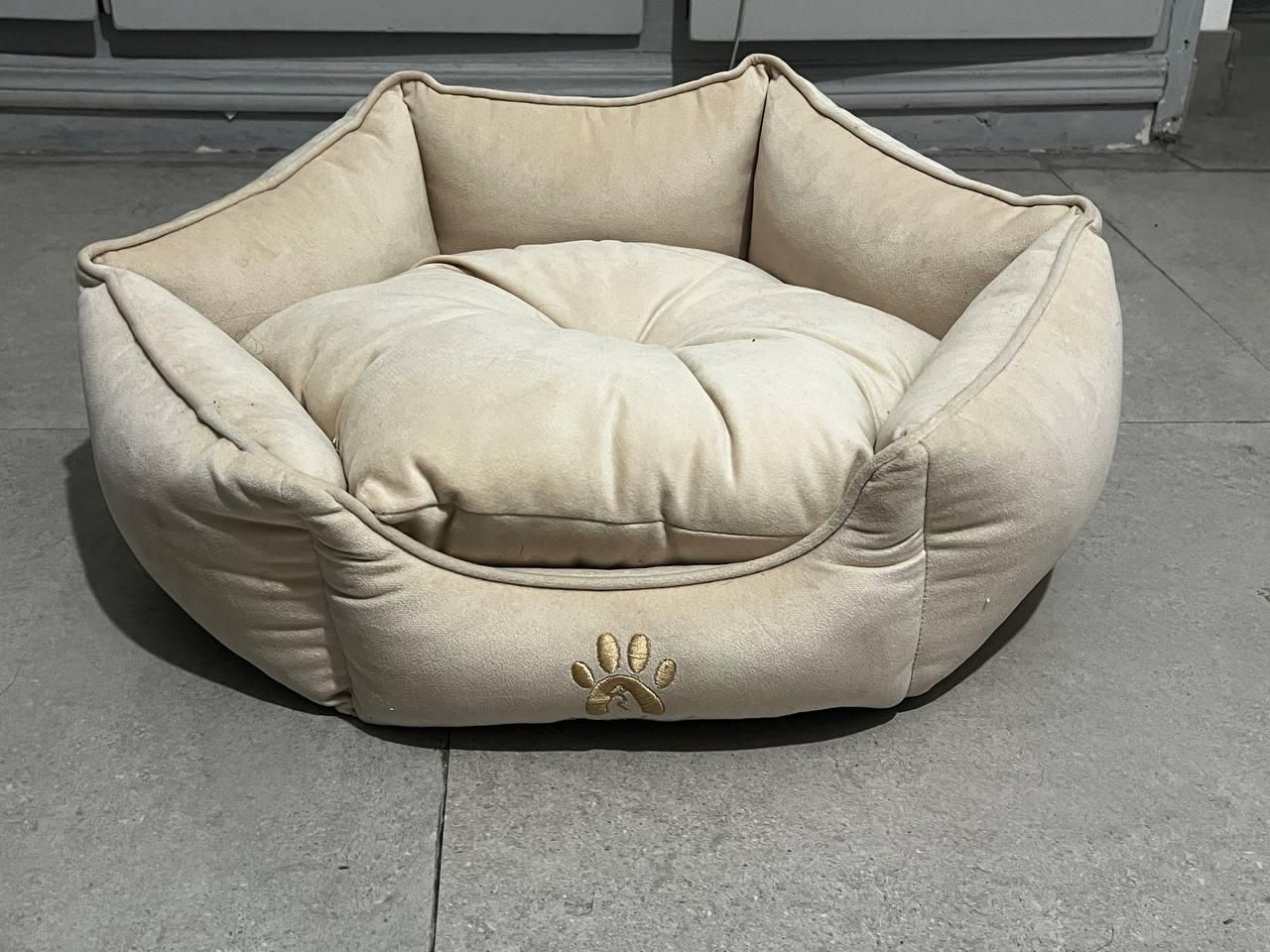 لوازم نگهداری گربه|لوازم جانبی حیوانات|رشت, گلسار|دیوار