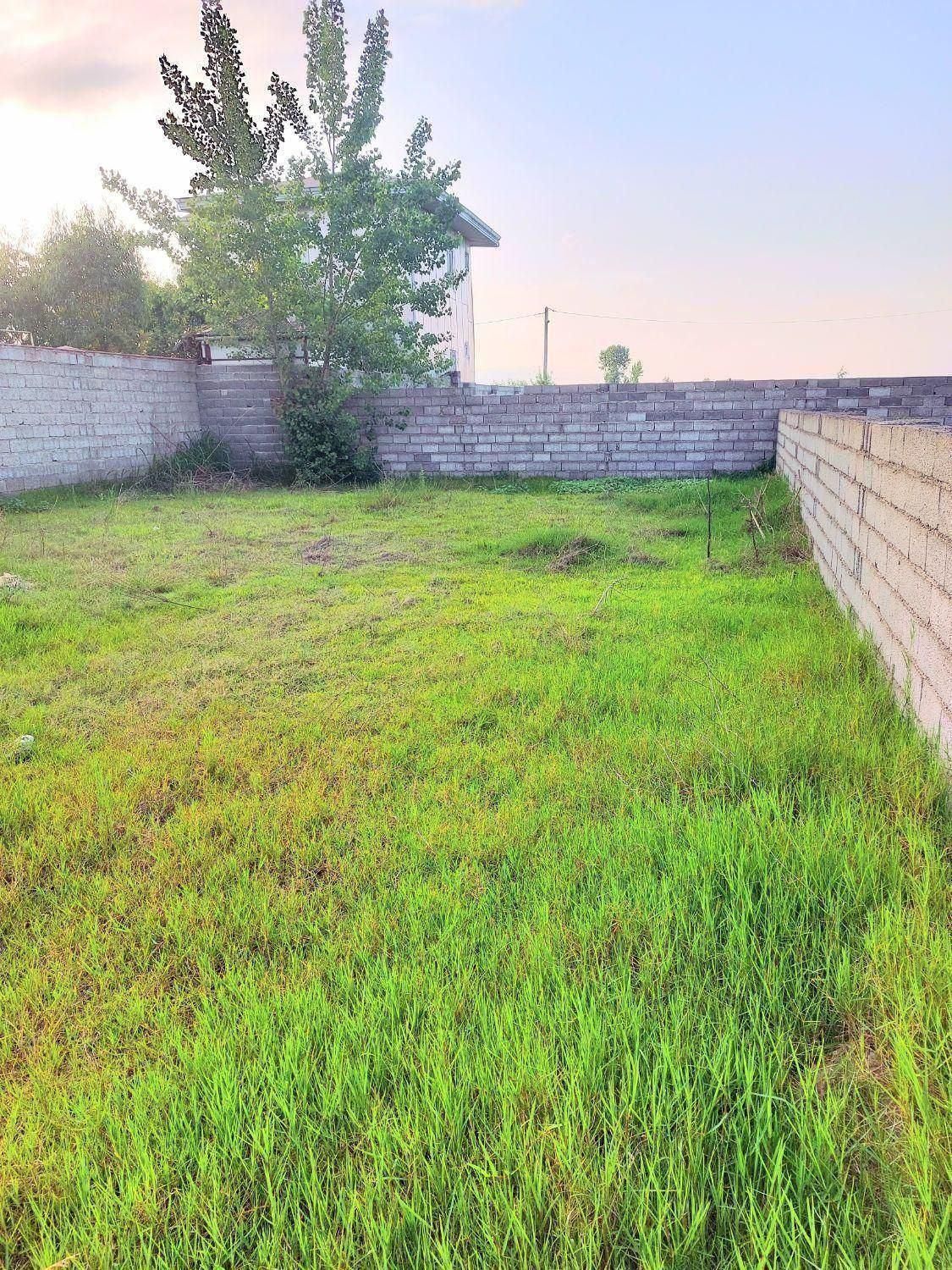 زمین ساحلی باپتانسیل سودبسیاربالابرای سرمایهگذاری|فروش زمین و ملک کلنگی|رشت, لاکان شهر|دیوار