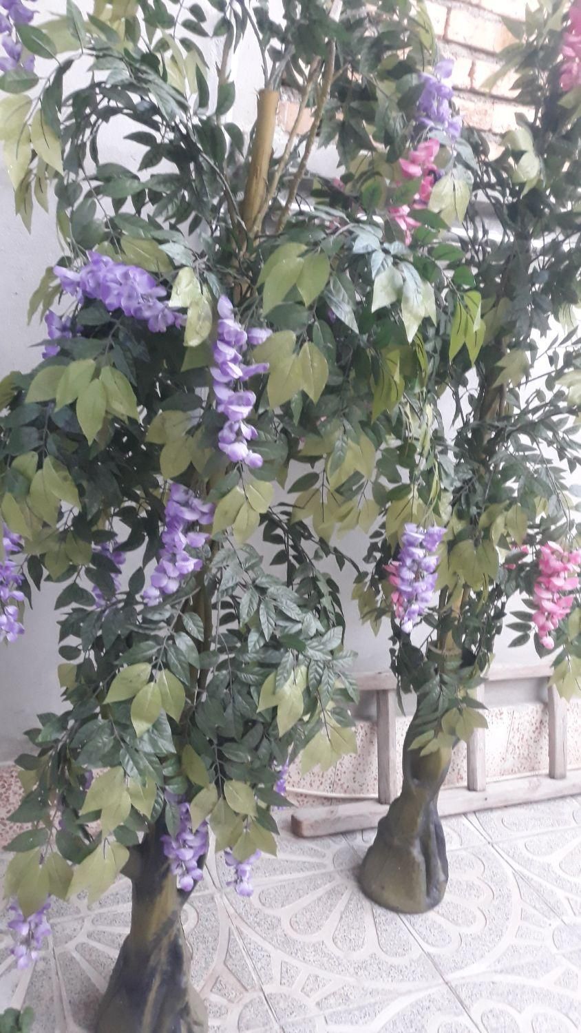 گل مصنوعی|گل مصنوعی|ارومیه, |دیوار