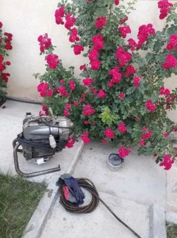 لوله بازکنی فلاح خلیج مهراباد جی تضمینی شبانه روزی|خدمات پیشه و مهارت|تهران, فلاح|دیوار