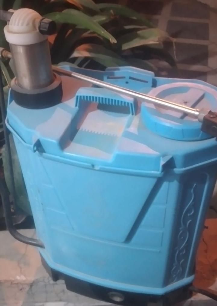 سمپاشی منازل و شرکت‌ها|خدمات نظافت|بندر کنگان, |دیوار