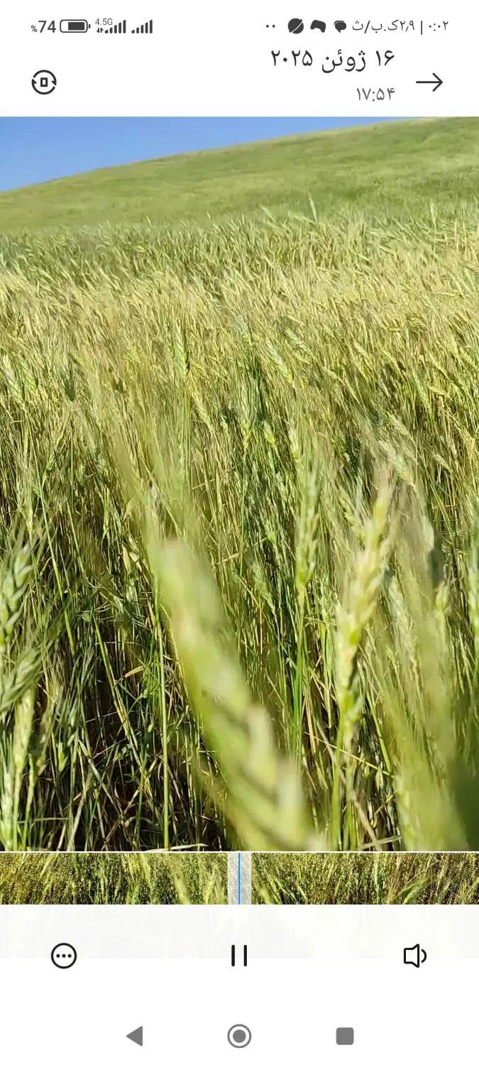 فروش زمین کشاورزی دیم درروستای حصاراسلمرز|فروش زمین و ملک کلنگی|سنندج, |دیوار