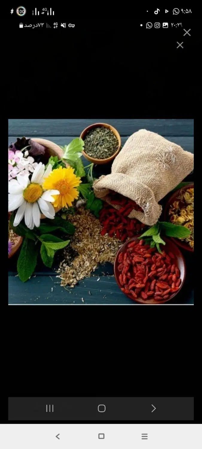 کارغیر حضوری درمنزل|استخدام آموزشی|مشهد, گلبرگ شمالی|دیوار