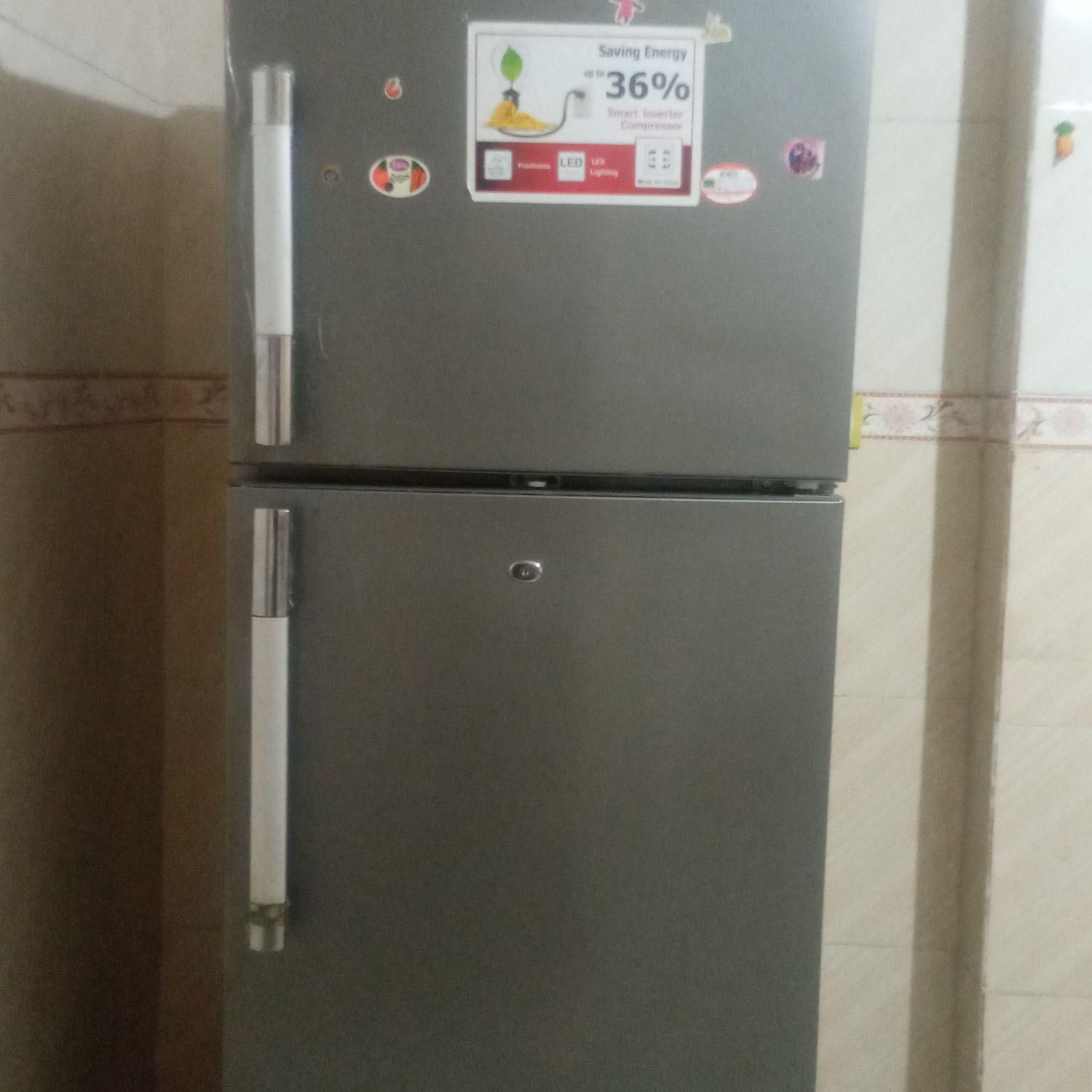یخچال نو|یخچال و فریزر|یاسوج, |دیوار
