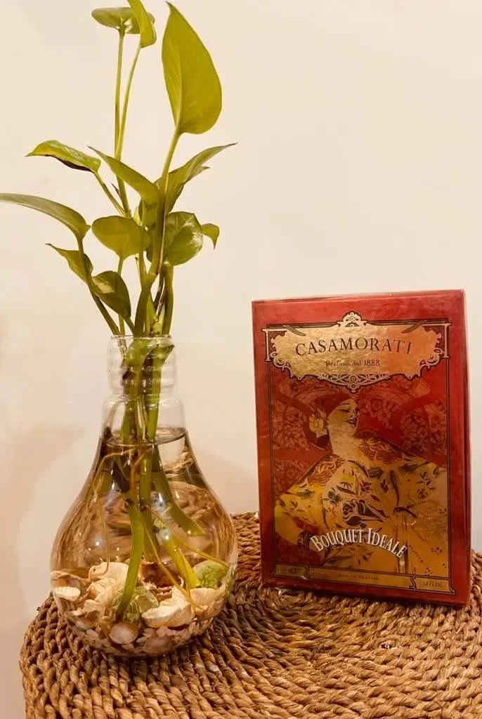 عطر ادکلن کازاموراتی زرجوف بوکت ایده آل|آرایشی، بهداشتی، درمانی|کاشان, آیت الله سعیدی|دیوار