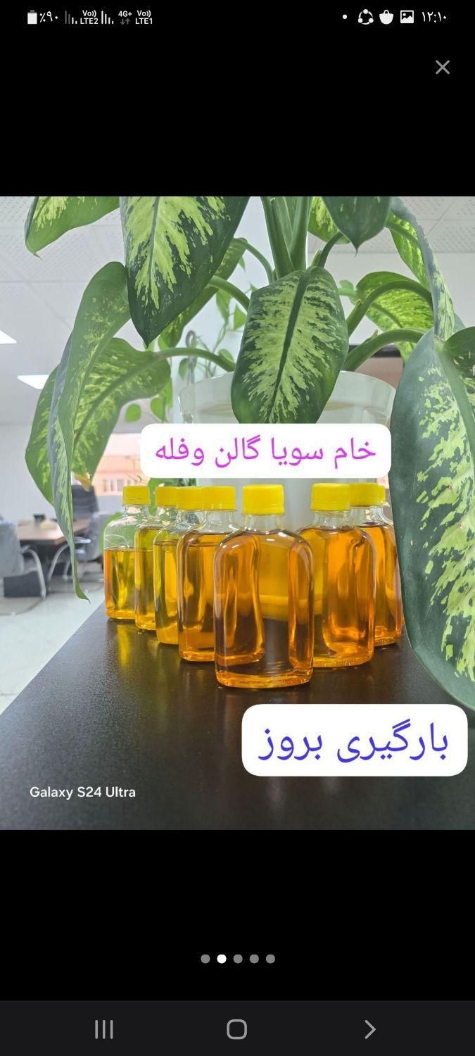 روغن خام سویا خام آفتابگردان|عمده‌فروشی|دشتابی, |دیوار