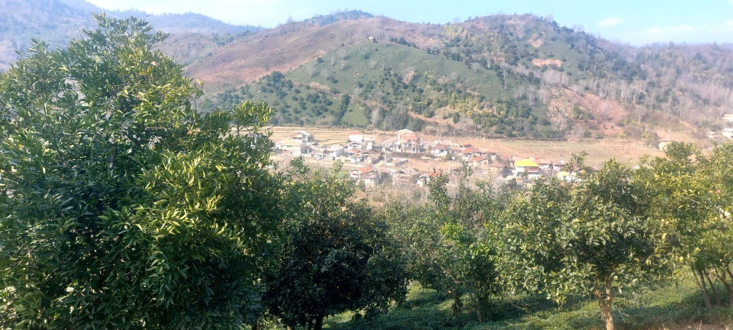 زمین دونبش ۴۰۰۰ متری با خونه قدیمی|فروش زمین و ملک کلنگی|اطاقور, |دیوار