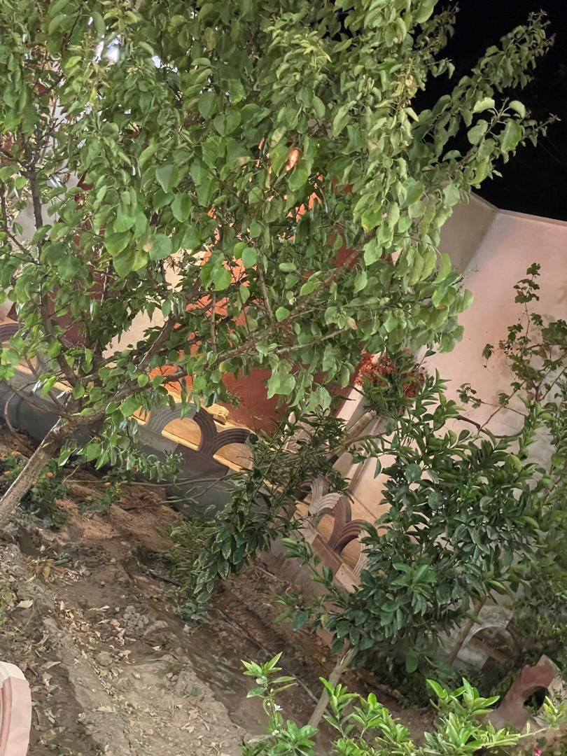 خونه باغ ویلایی اول جاده قمصر روبروی اولین بریدگی|فروش خانه و ویلا|قمصر, |دیوار