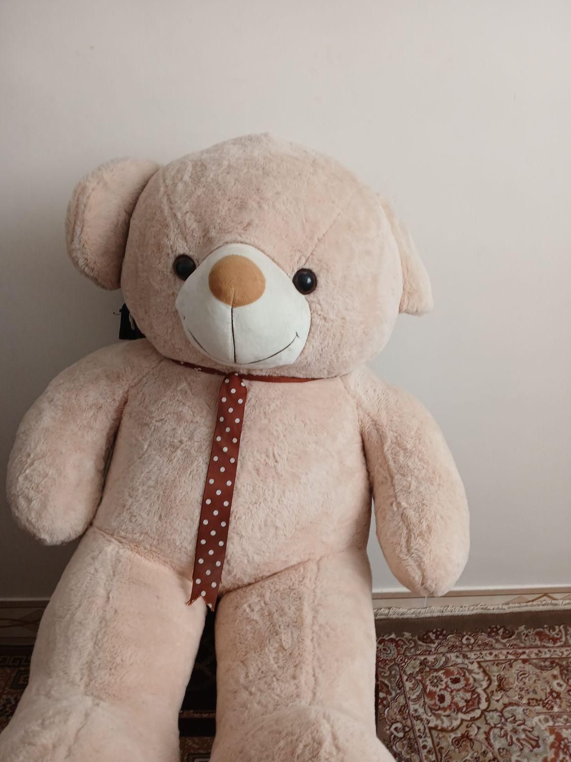 خرسی زیبا|اسباببازی بچه|گلپایگان, |دیوار