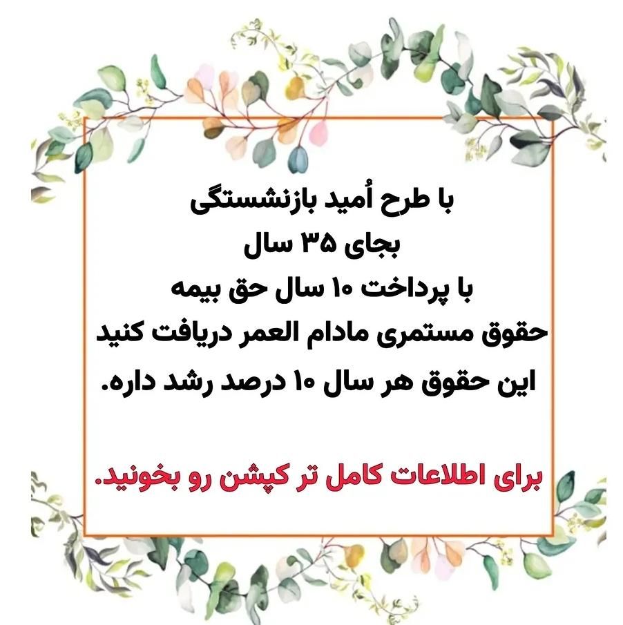 فقط باده قسط بازنشسته شو|خدمات مالی، حسابداری، بیمه|ایلام, |دیوار