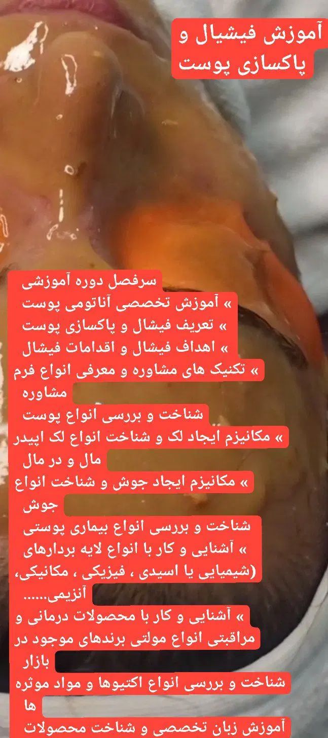 آموزش تمامی لاین های زیبایی بامدرک معتبر|خدمات آرایشگری و زیبایی|نظرآباد, شهرک سید جمال الدین|دیوار