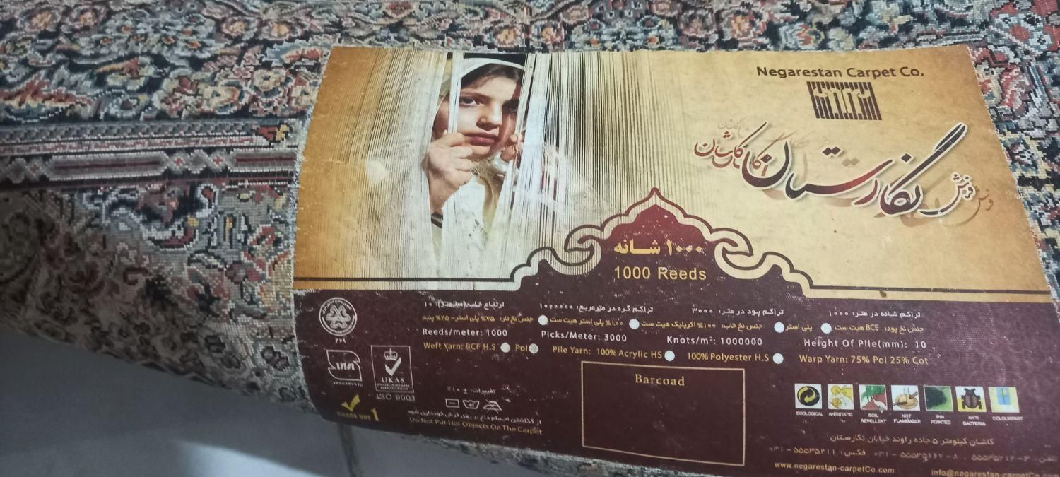 فرش کاشان هزار شانه تراکم پودر۳۰۰۰،نو هست|فرش|کلاچای, |دیوار