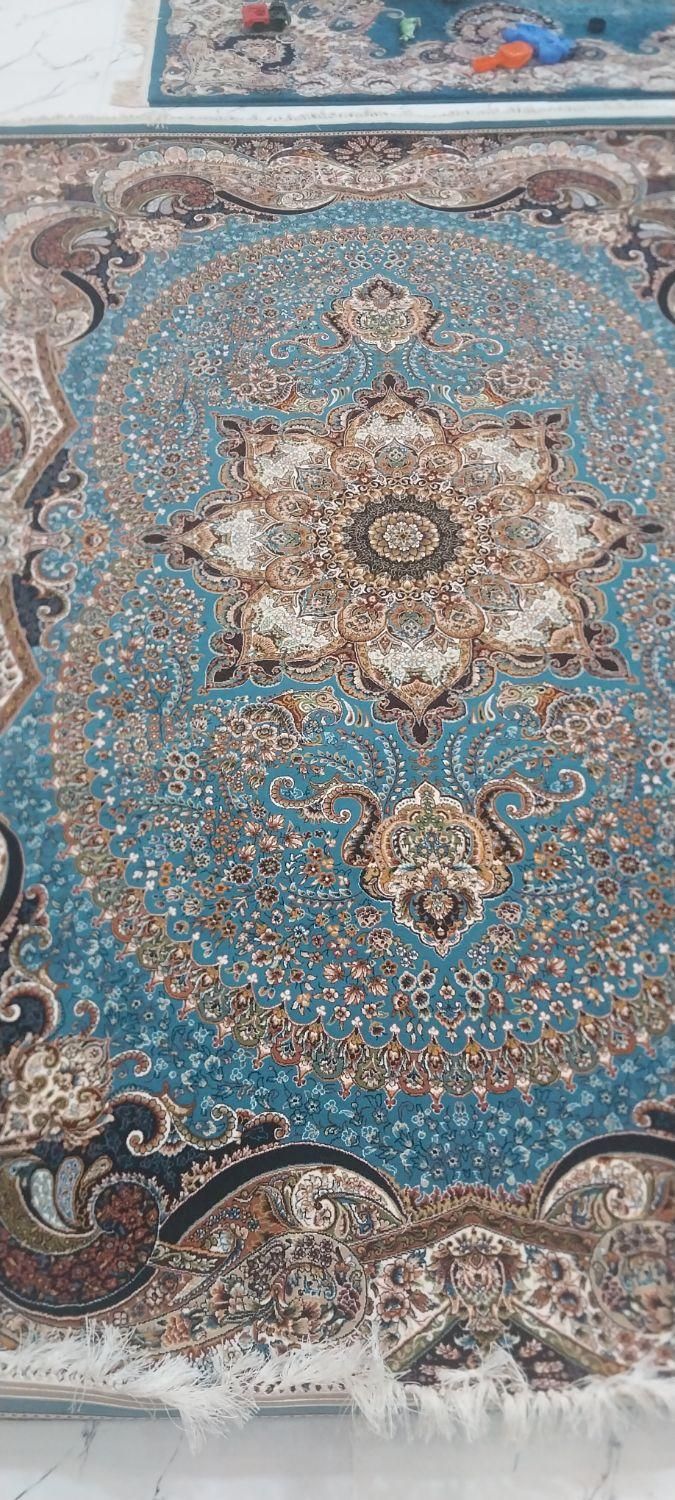فرش نو|فرش|کلاله, |دیوار