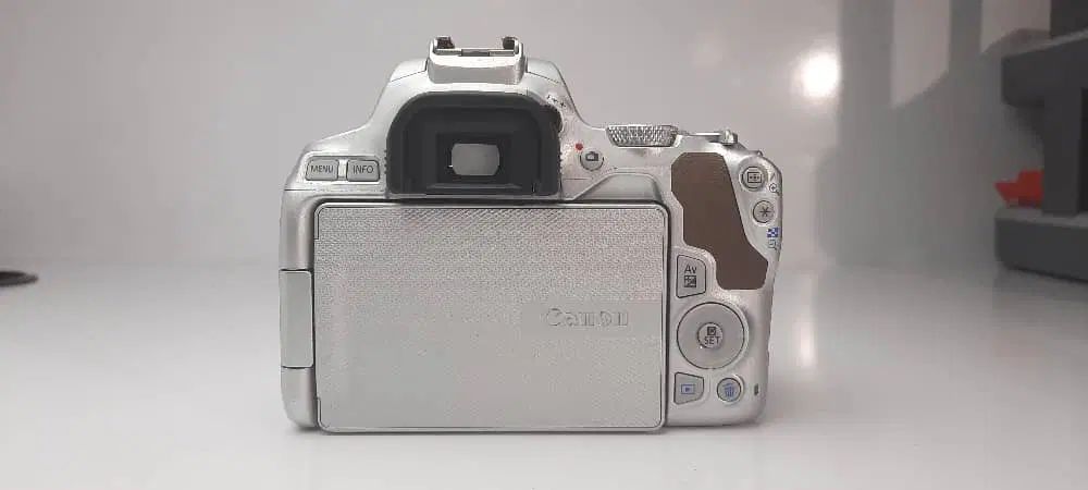 Eos 250D|دوربین عکاسی و فیلم‌برداری|تهران, بهار|دیوار