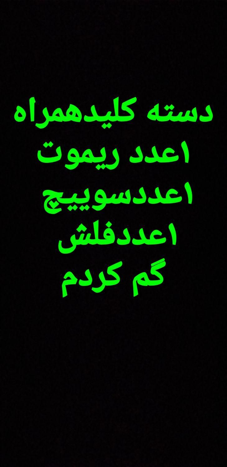ریموت وسوییچ گمشده|اشیا|همدان, |دیوار