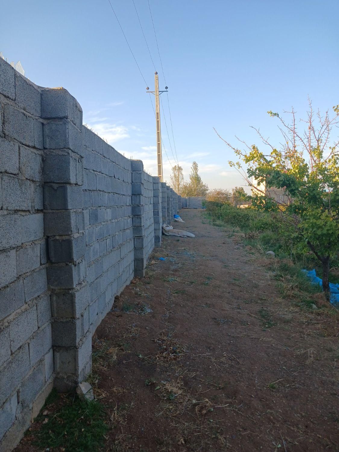 باغ انگور  ۸۵۰۰ متر چهاردیواری|فروش دفتر صنعتی، کشاورزی، تجاری|قزوین, |دیوار