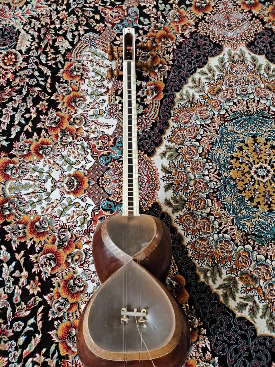 تار کودک سایز ۲|سازهای سنتی|قزوین, |دیوار