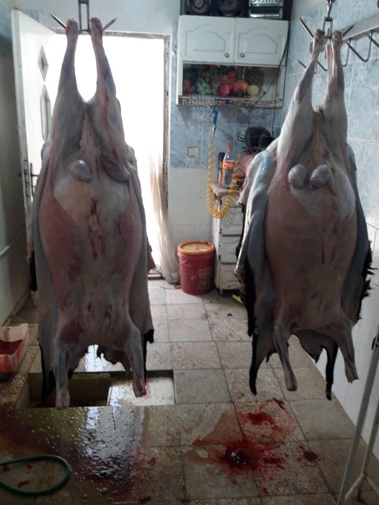 قصابی شبانه روزی|خدمات پذیرایی، مراسم|اراک, |دیوار