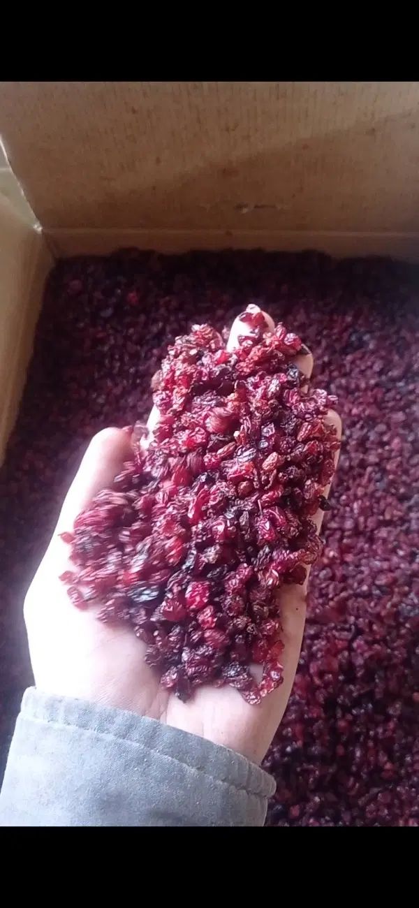 فروش زرشک|خوردنی و آشامیدنی|تهران, شوش (باغ آذری)|دیوار