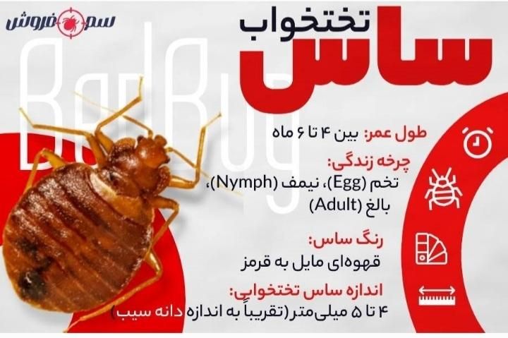 شرکت سمپاشی پاکسازان،سم پاشی ساس سوسک باافرادمتخصص|خدمات نظافت|تهران, خرمشهر|دیوار