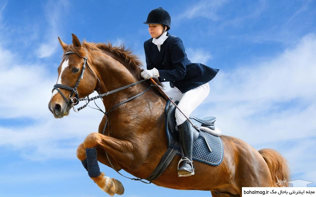 باشگاه سوارکاری راگا (شهرری)|اسب و تجهیزات اسب‌سواری|ری, |دیوار