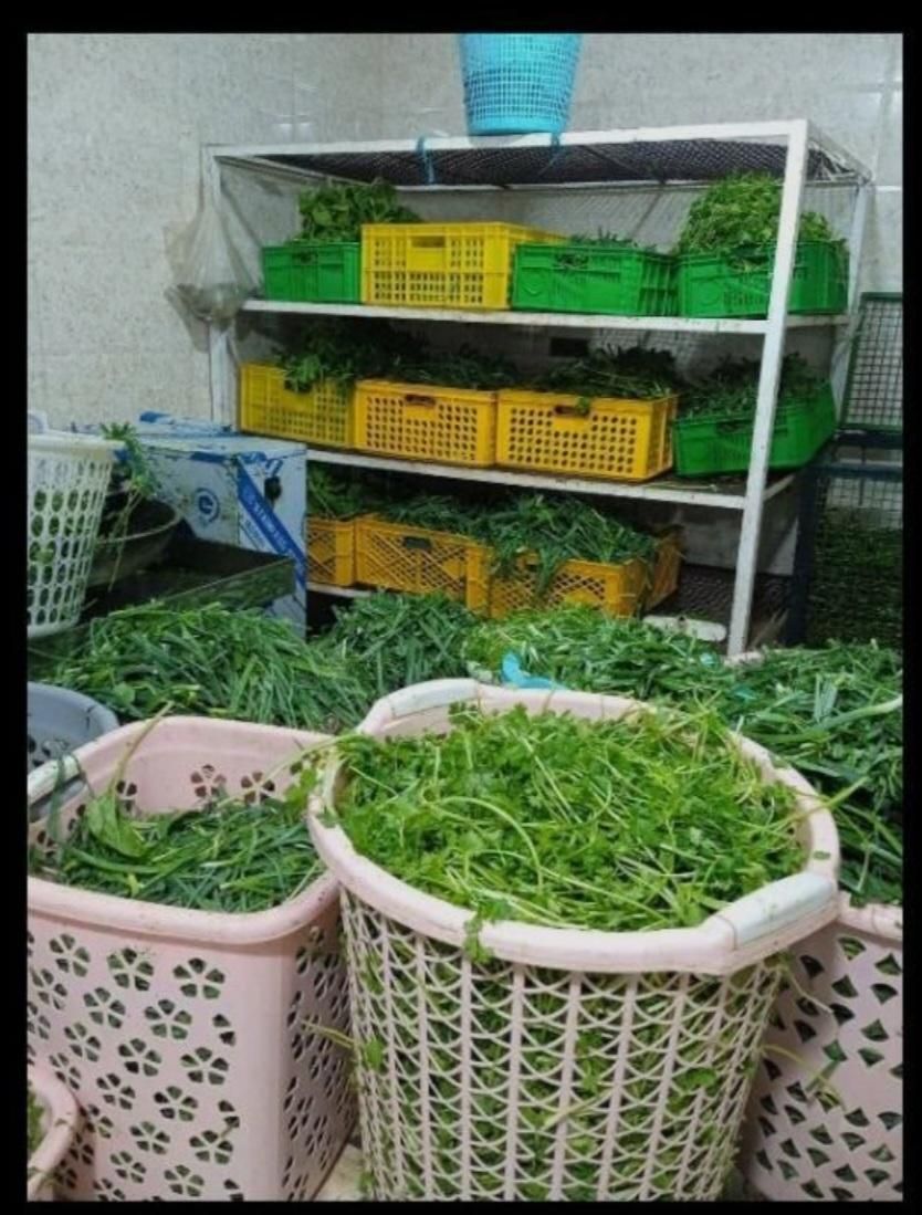 سبزی فروشی .خورد کنی  باغی شهریار|خوردنی و آشامیدنی|نسیم‌شهر, |دیوار