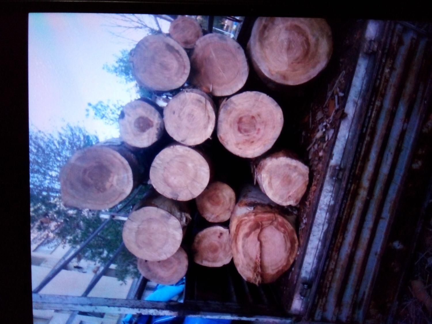 خریدچوب برش درخت هرس درخت|خدمات باغبانی و درختکاری|تهران, والفجر (افسریه)|دیوار