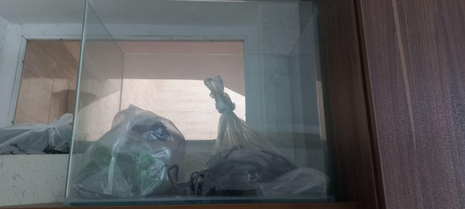 آکواریوم شیشه خم|ماهی|اصفهان, شیخ اشراق|دیوار