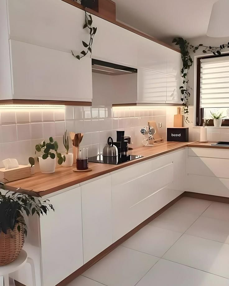 تولید کابینت ام دی اف|مصالح و تجهیزات ساختمان|بندر گز, |دیوار