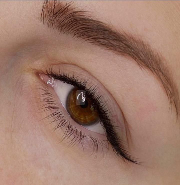 آموزش وخدمات اکستنشن مژه وکاشت تخصصی و لیفت ولمینت|خدمات آرایشگری و زیبایی|مشهد, شهید فرامرز عباسی|دیوار