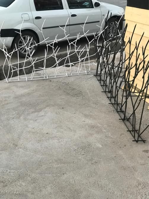 حفاظ بوته تای شاخ گوزنی|مصالح و تجهیزات ساختمان|کرمان, |دیوار