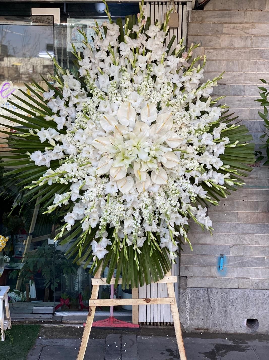 تاج گل|گل و گیاه طبیعی|قزوین, |دیوار