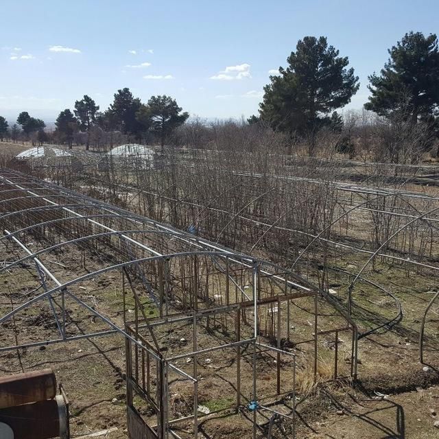 ۶۰ هکتار و دو حلقه چاه حاشیه اتوبان مشهد نیشابور|فروش دفتر صنعتی، کشاورزی، تجاری|مشهد, فرودگاه|دیوار