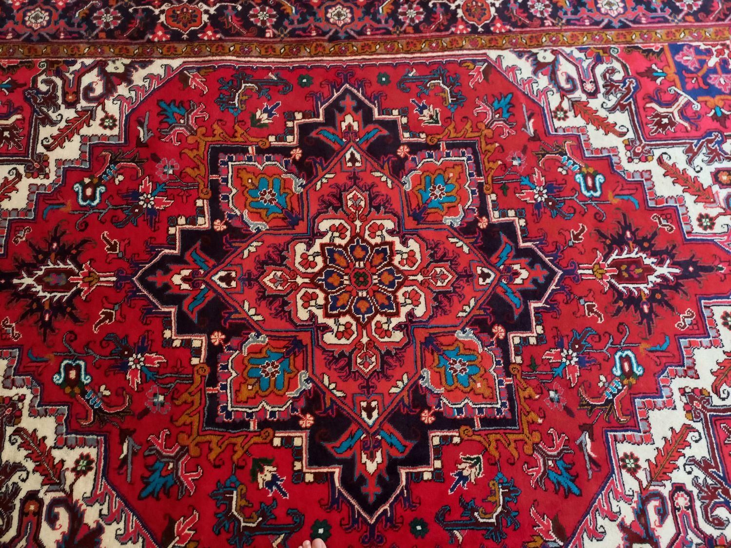 تک فرش دست بافت هریس تاجری|فرش|تبریز, |دیوار