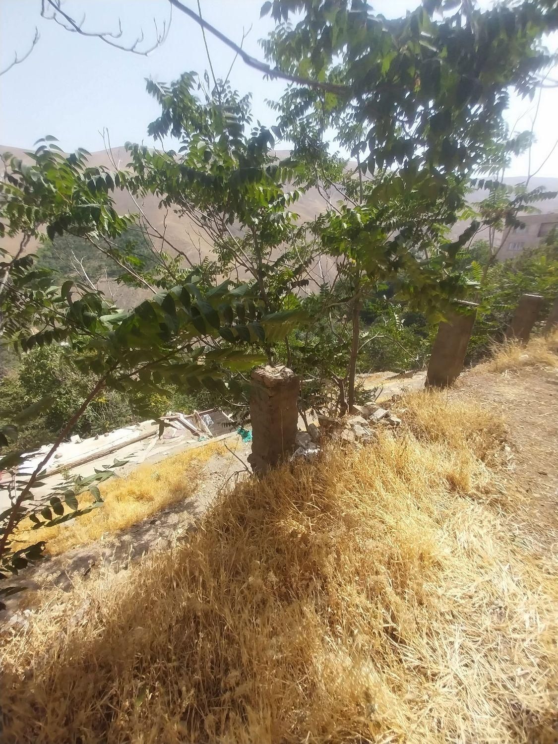 فروش زمین ۱۶۰ متری در کن|فروش زمین و ملک کلنگی|تهران, کن|دیوار