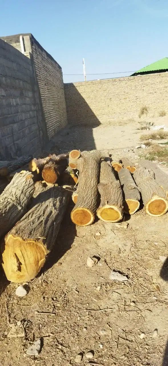 خرید چوب|خدمات باغبانی و درختکاری|مشهد, رسالت|دیوار